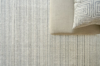 Exquisite Rugs Rossini 4695 Ivory/Gray Area Rug Detail Image