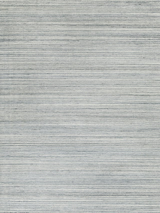 Exquisite Rugs Rossini 4696 Gray/Light Gray Area Rug main image