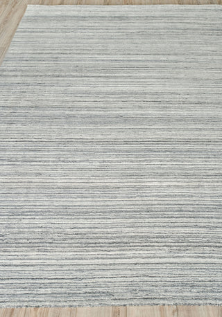 Exquisite Rugs Rossini 4696 Gray/Light Gray Area Rug Closeup Image