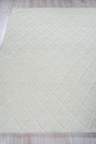 Exquisite Rugs Brentwood 4716 White Area Rug Closeup Image