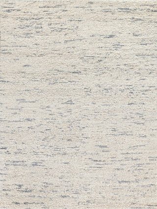 Exquisite Rugs Borelli 4749 Gray/Ivory Area Rug main image