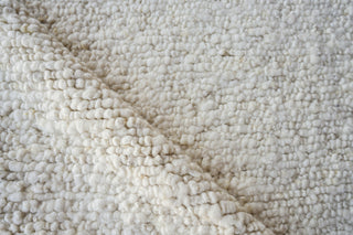 Exquisite Rugs Borelli 4750 Ivory Area Rug Pile Image