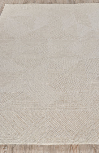 Exquisite Rugs Caprice 4758 Beige/Ivory Area Rug Closeup Image