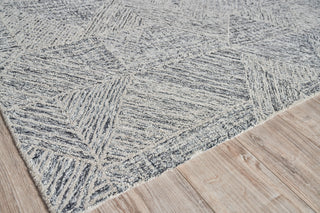 Exquisite Rugs Caprice 4760 Gray Area Rug Corner Image