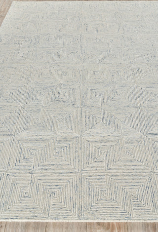 Exquisite Rugs Caprice 4771 Light Blue/Ivory Area Rug Closeup Image