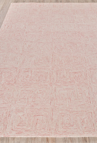 Exquisite Rugs Caprice 4772 Pink/Ivory Area Rug Closeup Image