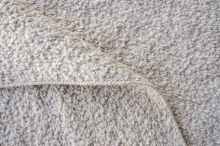 Exquisite Rugs Morello 4777 Ivory/Gray Area Rug Pile Image