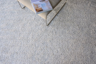 Exquisite Rugs Morello 4778 Ivory/Ivory Area Rug Detail Image