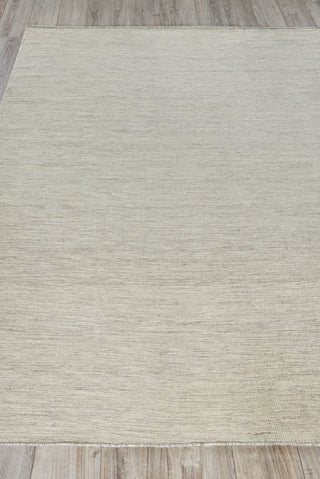 Exquisite Rugs Chelsea 4798 Beige/Gray Area Rug Closeup Image