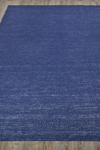 Exquisite Rugs Loro 4859 Navy Area Rug Closeup Image