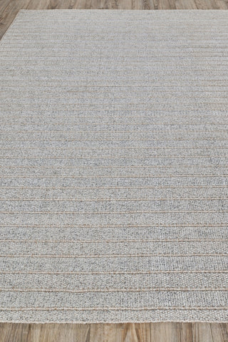 Exquisite Rugs Nova 4865 Natural Beige Area Rug Closeup Image