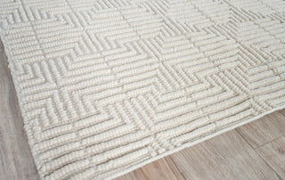 Exquisite Rugs Manzoni 4873 Ivory Area Rug Corner Image