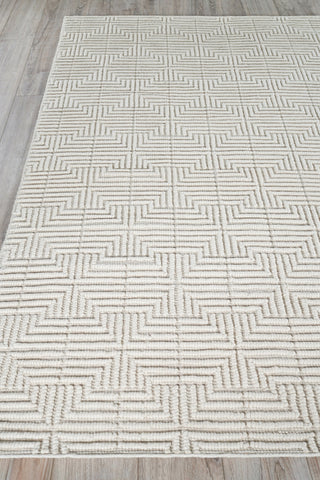 Exquisite Rugs Manzoni 4873 Ivory Area Rug Closeup Image