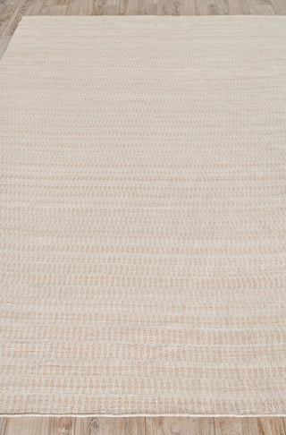 Exquisite Rugs Florence 4881 Light Beige Area Rug Closeup Image