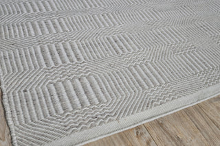 Exquisite Rugs Naples 4882 Ivory/Gray Area Rug Corner Image