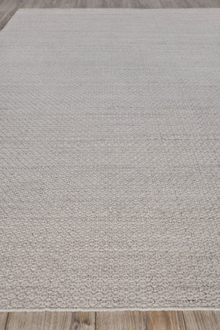 Exquisite Rugs Gamma 4886 Beige Area Rug Closeup Image