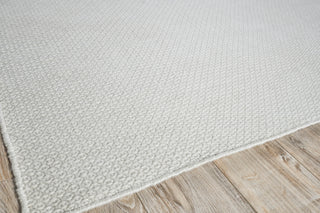 Exquisite Rugs Gamma 4887 Ivory Area Rug Corner Image