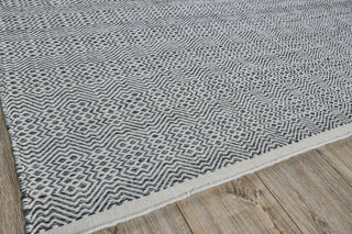 Exquisite Rugs Echo 4891 Ivory/Black Area Rug Corner Image