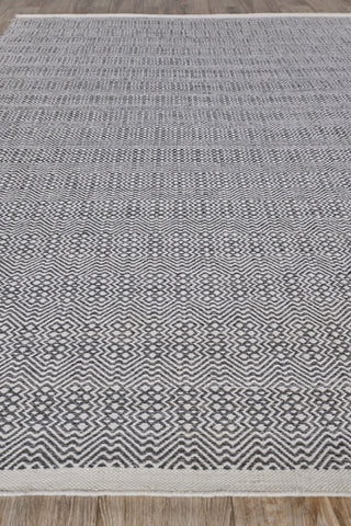 Exquisite Rugs Echo 4892 Ivory/Gray Area Rug Closeup Image