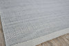 Exquisite Rugs Echo 4893 Ivory/Light Silver Area Rug