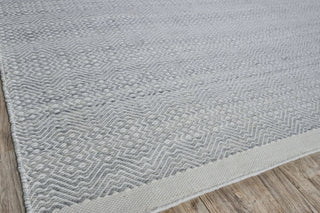 Exquisite Rugs Echo 4893 Ivory/Light Silver Area Rug Corner Image