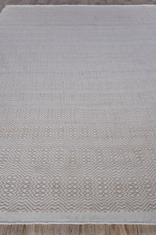 Exquisite Rugs Echo 4894 Ivory/Light Beige Area Rug Closeup Image