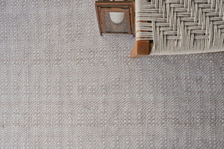 Exquisite Rugs Echo 4894 Ivory/Light Beige Area Rug Detail Image