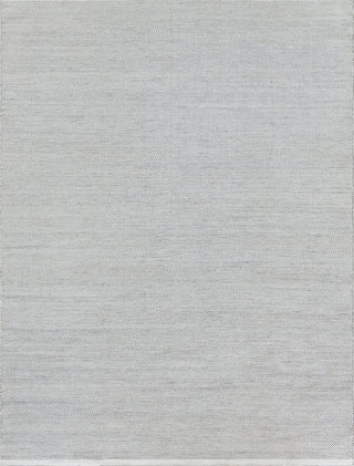 Exquisite Rugs Bintan 4896 Ivory/Silver Area Rug main image