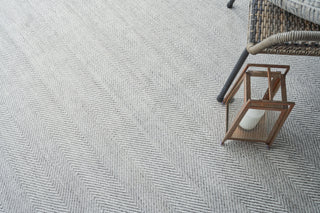 Exquisite Rugs Bintan 4896 Ivory/Silver Area Rug Detail Image