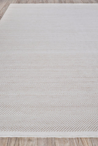 Exquisite Rugs Bintan 4897 Ivory/Beige Area Rug Closeup Image