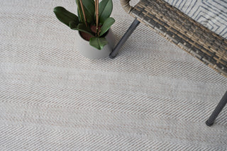 Exquisite Rugs Bintan 4897 Ivory/Beige Area Rug Lifestyle Image Feature