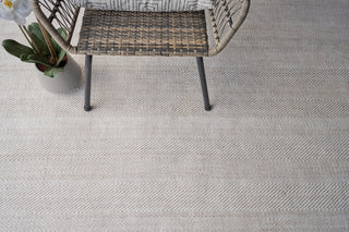 Exquisite Rugs Bintan 4897 Ivory/Beige Area Rug Detail Image