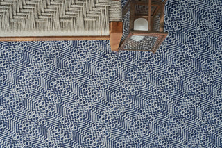 Exquisite Rugs Echo 4898 Ivory/Blue Area Rug Detail Image