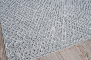 Exquisite Rugs Crescendo 4902 Silver Area Rug Corner Image