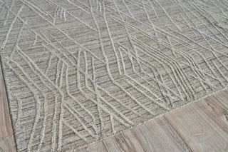 Exquisite Rugs Crescendo 4903 Beige Area Rug Corner Image