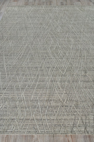 Exquisite Rugs Crescendo 4903 Beige Area Rug Closeup Image