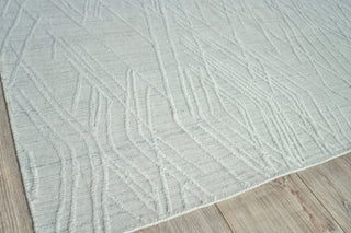 Exquisite Rugs Crescendo 4904 White Area Rug Closeup Image