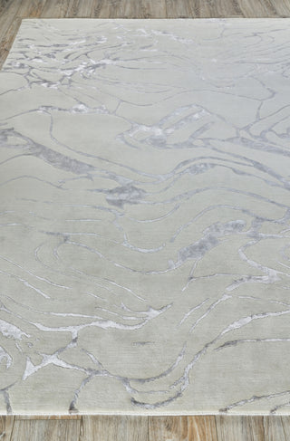 Exquisite Rugs Aries 4911 Silver Area Rug by The Met Closeup Image
