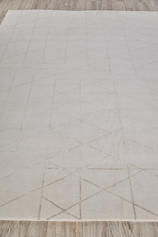 Exquisite Rugs Aries 4924 Light Beige Area Rug by The Met Closeup Image