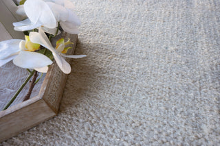 Exquisite Rugs Tranquility 4957 Ivory Area Rug Lifestyle Image Feature