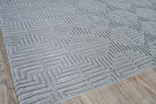 Exquisite Rugs Manzoni 4958 Gray Area Rug Corner Image