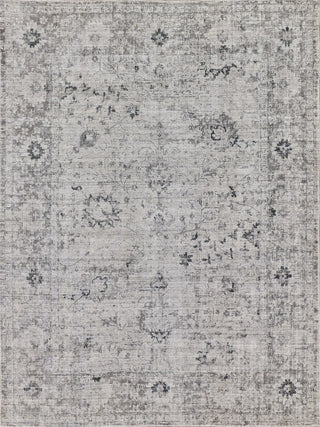 Exquisite Rugs Cambridge 4966 Gray/Silver Area Rug main image