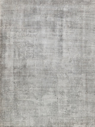 Exquisite Rugs Stone Wash Gazni 4972 Gray/Taupe Area Rug main image