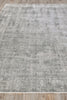 Exquisite Rugs Stone Wash Gazni 4972 Gray/Taupe Area Rug Closeup Image