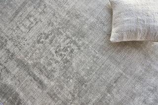 Exquisite Rugs Stone Wash Gazni 4972 Gray/Taupe Area Rug Lifestyle Image Feature