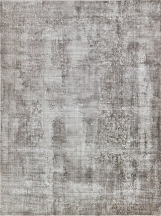 Exquisite Rugs Stone Wash Gazni 4974 Taupe Area Rug main image