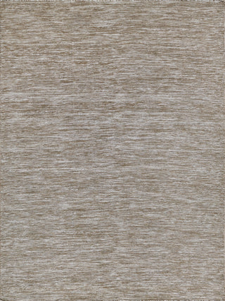 Exquisite Rugs Kashmir 4994 Kakhi Area Rug main image
