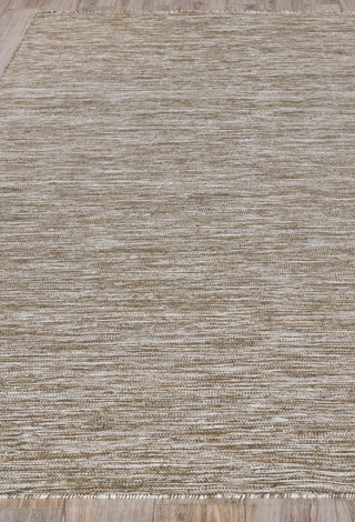 Exquisite Rugs Kashmir 4994 Kakhi Area Rug Closeup Image