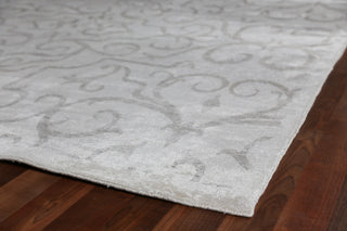 Exquisite Rugs Bamboo Silk 5005 Ivory/Silver Area Rug Corner Image