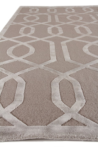 Exquisite Rugs Metro Velvet 5046 Light Taupe Area Rug by The Met Closeup Image